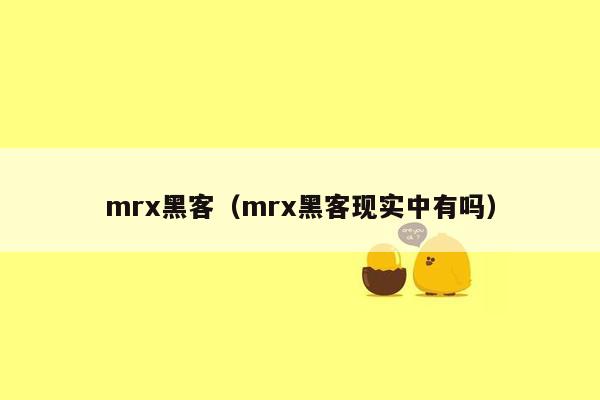 mrx黑客（mrx黑客现实中有吗）