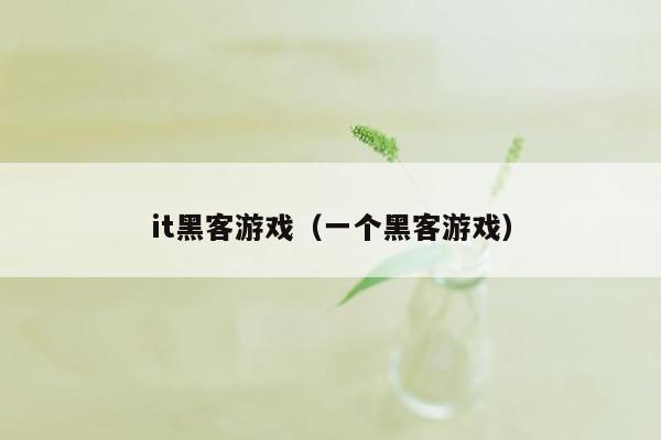 it黑客游戏（一个黑客游戏）