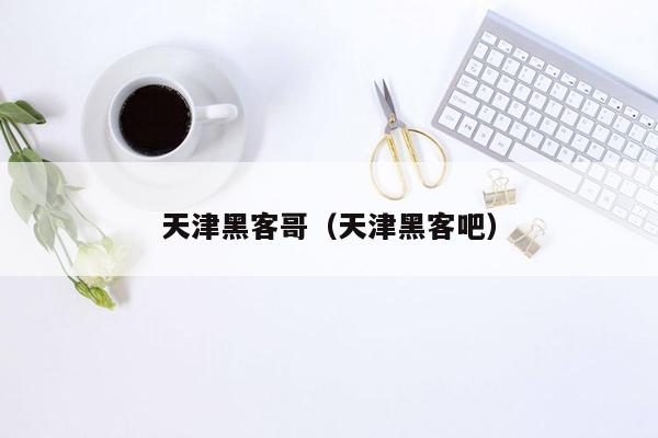 天津黑客哥（天津黑客吧）