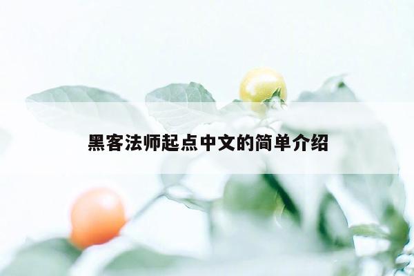 黑客法师起点中文的简单介绍