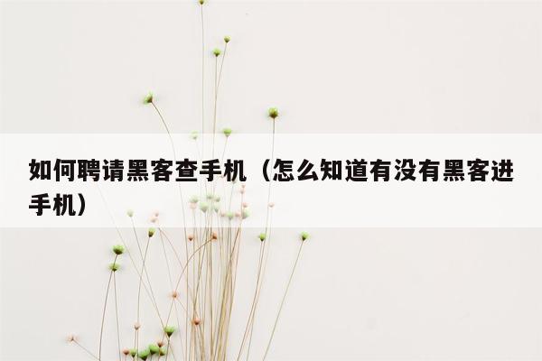 如何聘请黑客查手机（怎么知道有没有黑客进手机）