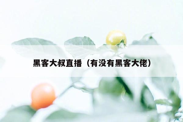 黑客大叔直播（有没有黑客大佬）