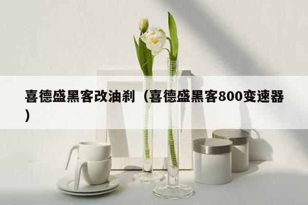 喜德盛黑客改油刹（喜德盛黑客800变速器）