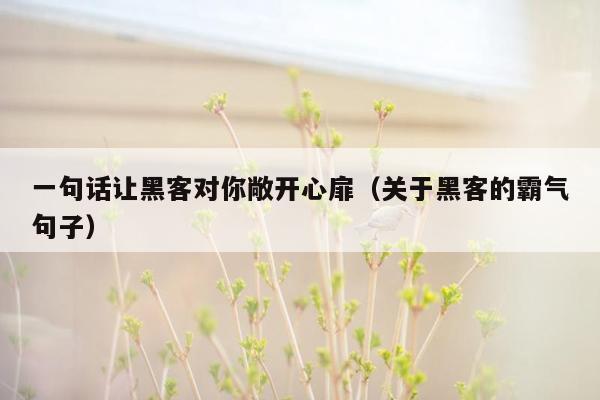 一句话让黑客对你敞开心扉（关于黑客的霸气句子）