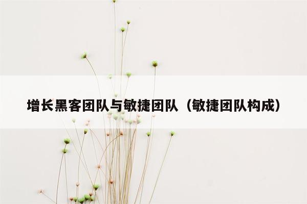 增长黑客团队与敏捷团队（敏捷团队构成）