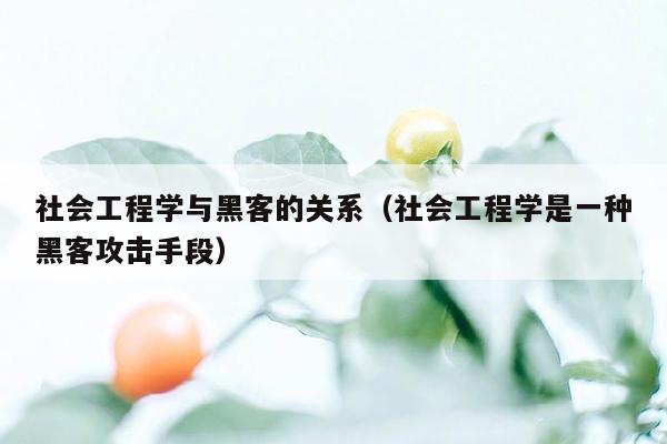 社会工程学与黑客的关系（社会工程学是一种黑客攻击手段）