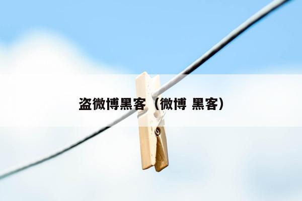 盗微博黑客（微博 黑客）