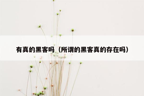 有真的黑客吗（所谓的黑客真的存在吗）