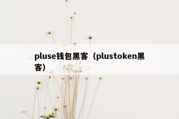 pluse钱包黑客（plustoken黑客）