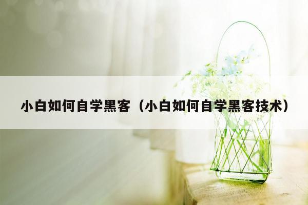 小白如何自学黑客（小白如何自学黑客技术）