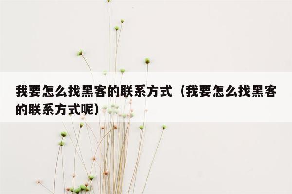 我要怎么找黑客的联系方式（我要怎么找黑客的联系方式呢）