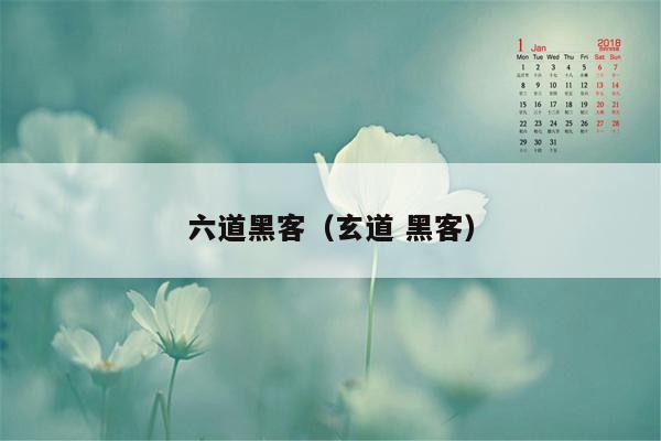 六道黑客（玄道 黑客）