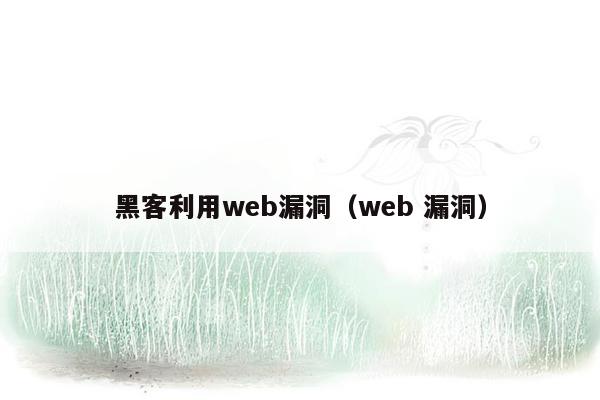 黑客利用web漏洞（web 漏洞）