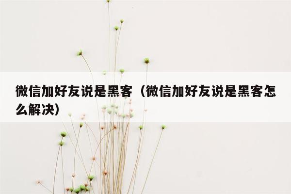 微信加好友说是黑客（微信加好友说是黑客怎么解决）