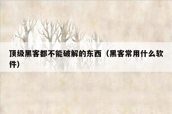 顶级黑客都不能破解的东西（黑客常用什么软件）