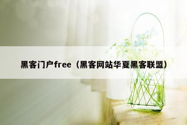 黑客门户free（黑客网站华夏黑客联盟）