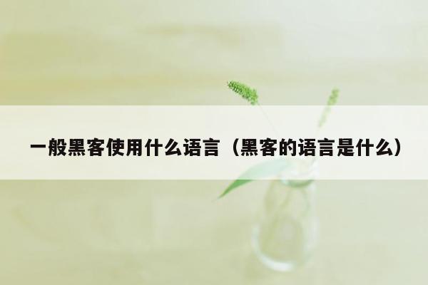 一般黑客使用什么语言（黑客的语言是什么）