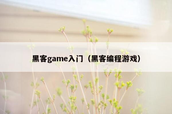 黑客game入门（黑客编程游戏）