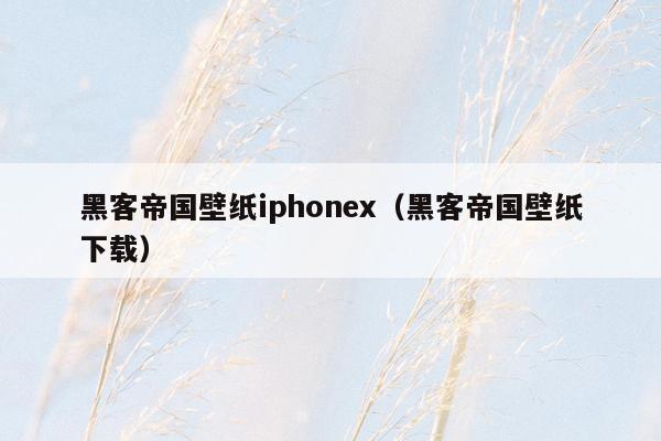 黑客帝国壁纸iphonex（黑客帝国壁纸下载）