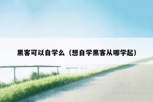 黑客可以自学么（想自学黑客从哪学起）