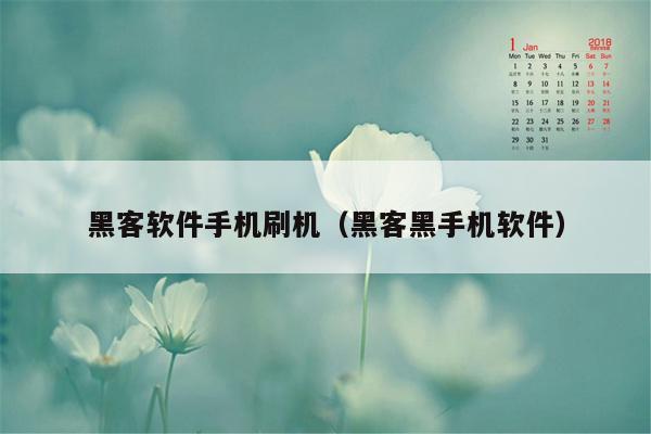 黑客软件手机刷机（黑客黑手机软件）