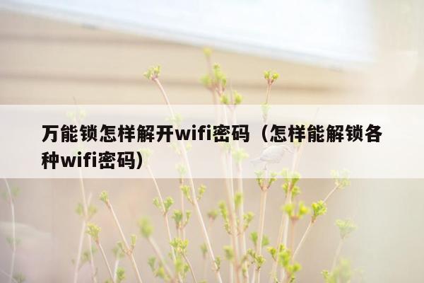 万能锁怎样解开wifi密码（怎样能解锁各种wifi密码）