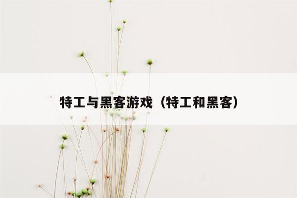 特工与黑客游戏（特工和黑客）