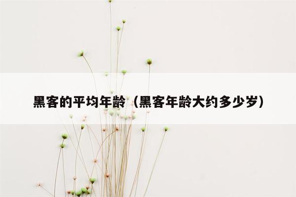 黑客的平均年龄（黑客年龄大约多少岁）