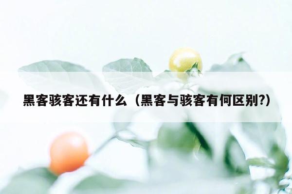 黑客骇客还有什么（黑客与骇客有何区别?）