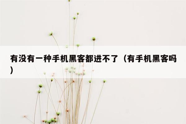 有没有一种手机黑客都进不了（有手机黑客吗）