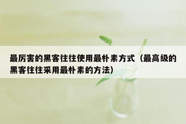 最厉害的黑客往往使用最朴素方式（最高级的黑客往往采用最朴素的方法）