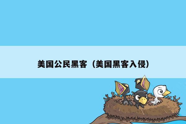 美国公民黑客（美国黑客入侵）