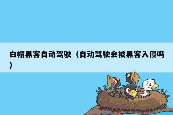 白帽黑客自动驾驶（自动驾驶会被黑客入侵吗）