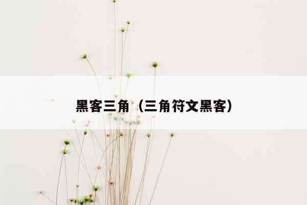 黑客三角（三角符文黑客）