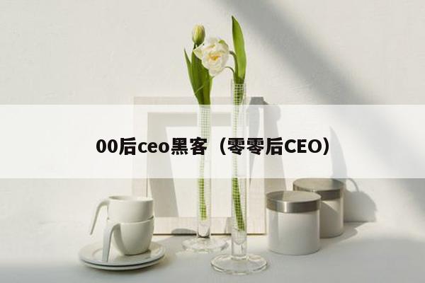 00后ceo黑客（零零后CEO）