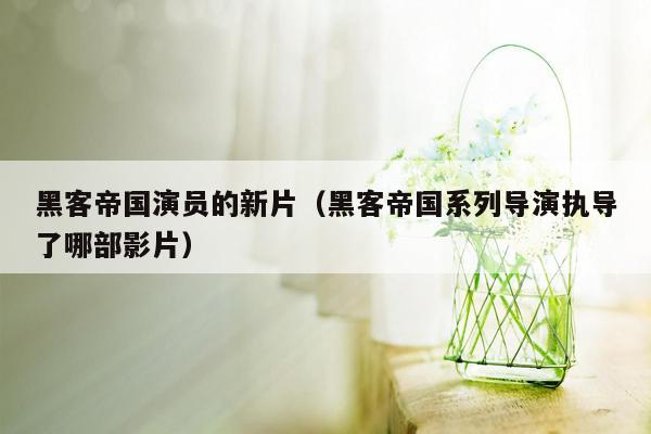 黑客帝国演员的新片（黑客帝国系列导演执导了哪部影片）