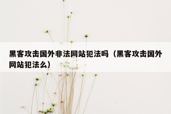 黑客攻击国外非法网站犯法吗（黑客攻击国外网站犯法么）