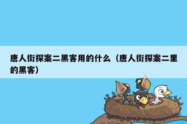 唐人街探案二黑客用的什么（唐人街探案二里的黑客）