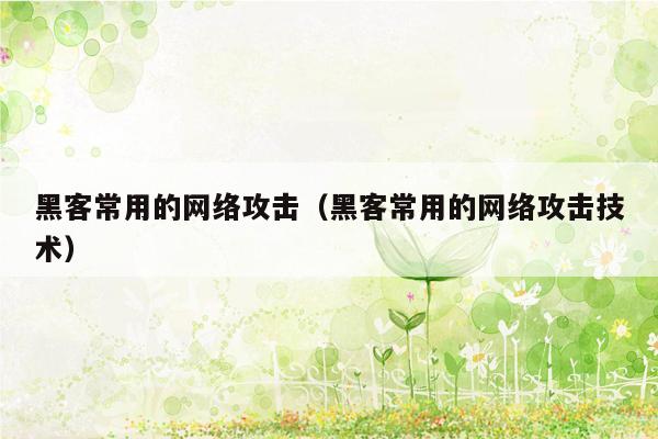 黑客常用的网络攻击（黑客常用的网络攻击技术）