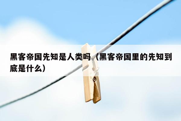 黑客帝国先知是人类吗（黑客帝国里的先知到底是什么）