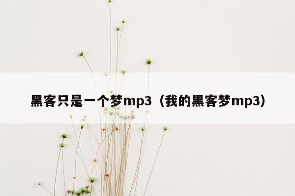 黑客只是一个梦mp3（我的黑客梦mp3）