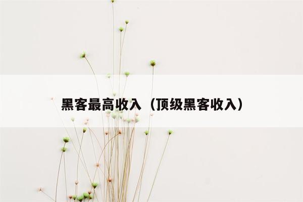 黑客最高收入（顶级黑客收入）