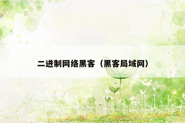 二进制网络黑客（黑客局域网）