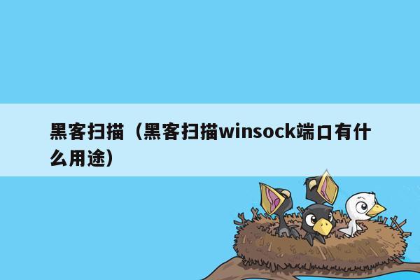 黑客扫描（黑客扫描winsock端口有什么用途）