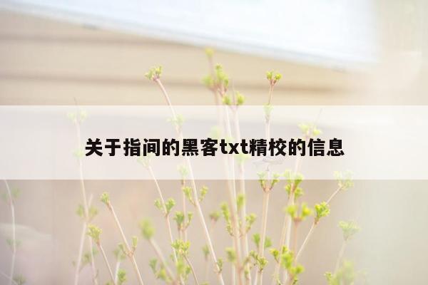 关于指间的黑客txt精校的信息