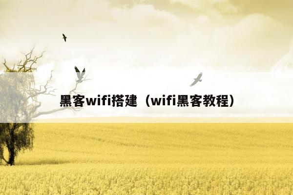 黑客wifi搭建（wifi黑客教程）