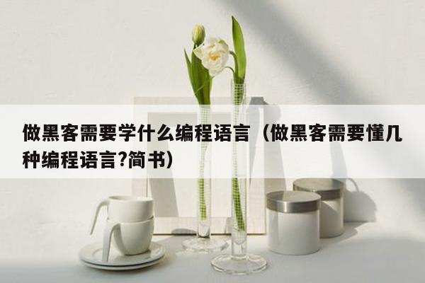 做黑客需要学什么编程语言（做黑客需要懂几种编程语言?简书）