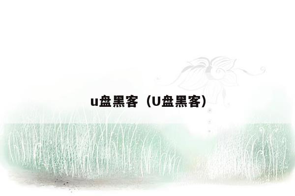 u盘黑客（U盘黑客）