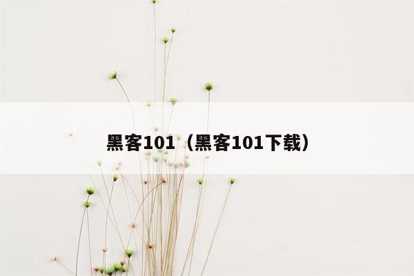 黑客101（黑客101下载）