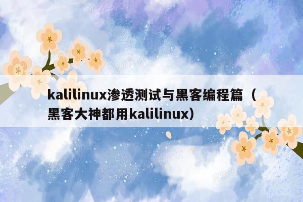 kalilinux渗透测试与黑客编程篇（黑客大神都用kalilinux）